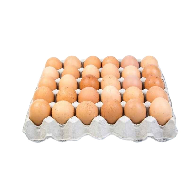 TABLETTE OEUF FERMIER