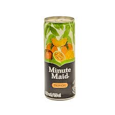 MINUTE MAID TROPICAL 25CL